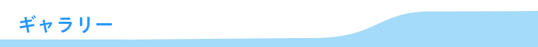 ギャラリー
